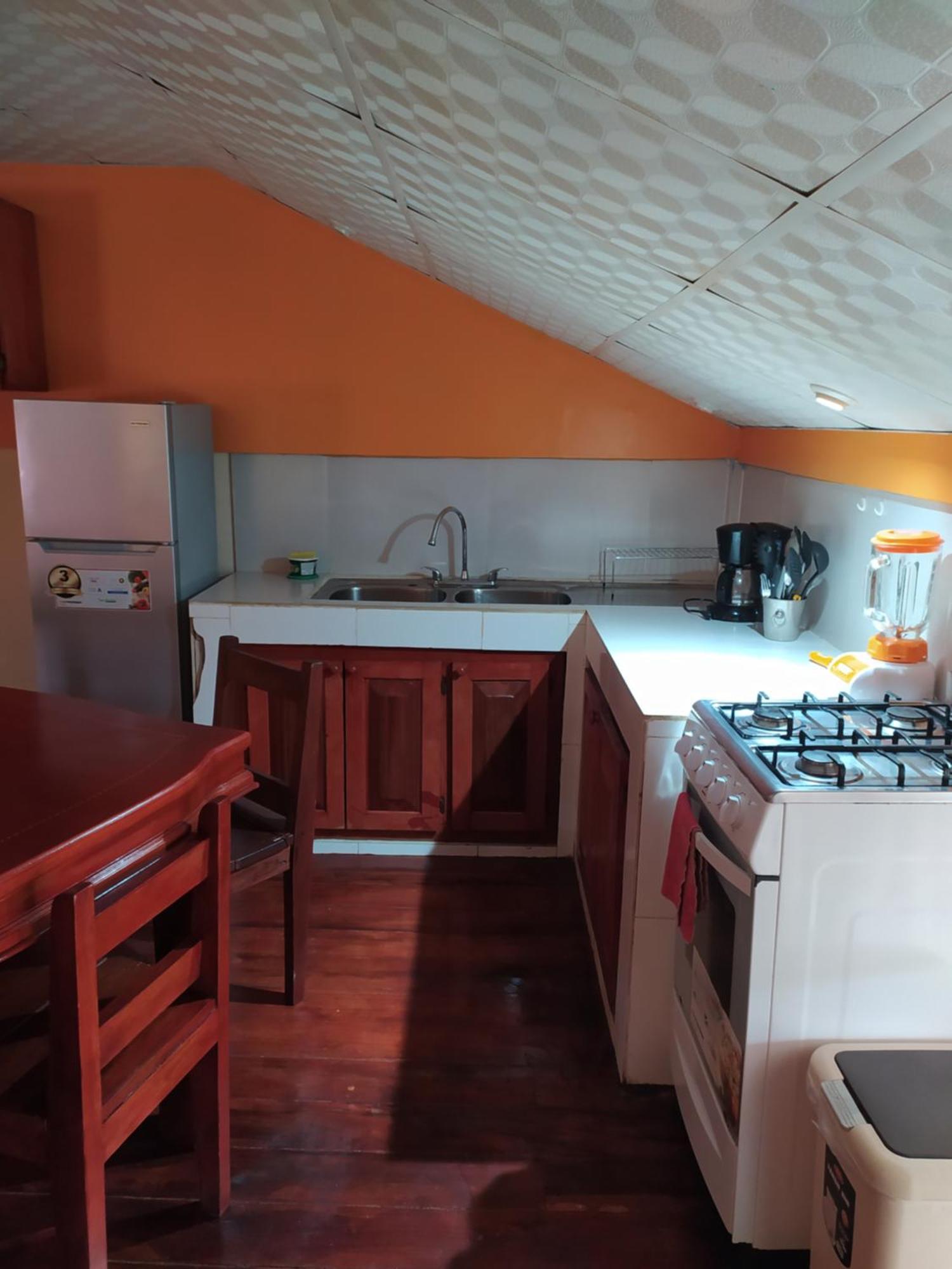 Sun Havens Apartments & Suites โบกัสทาวน์ ภายนอก รูปภาพ